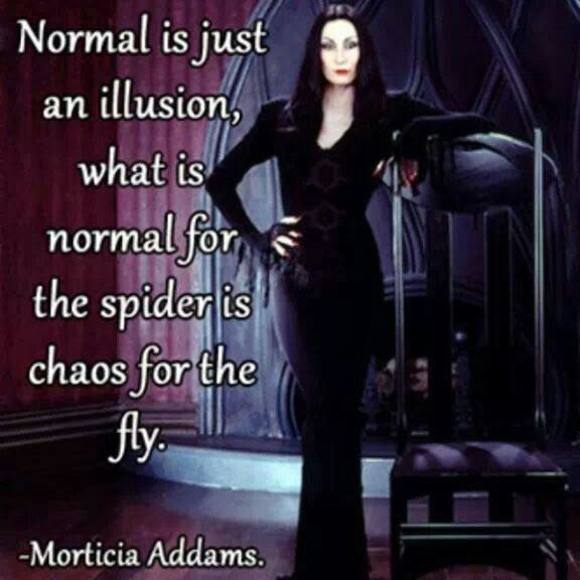 Meet your Posher, Loren - Picture 1 of 1